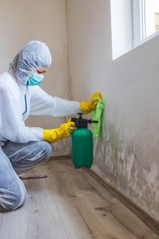 Mold Abatement Service in Essex County, NJ