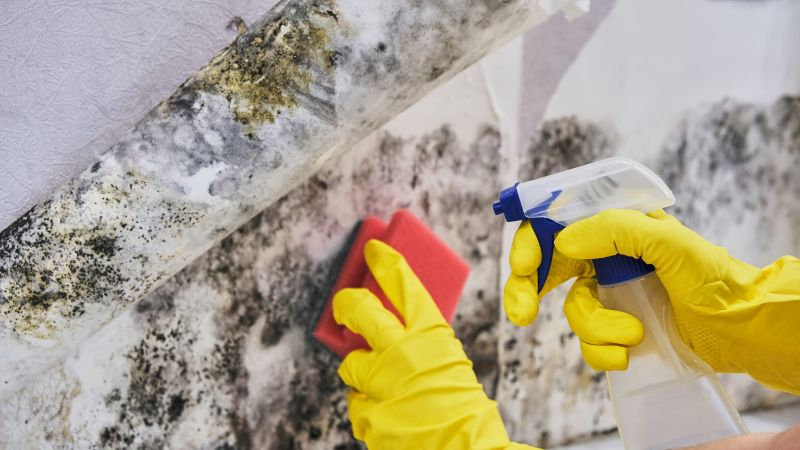 Air Duct Mold Removal in Dallas, TX