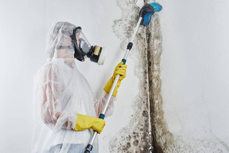 Ceiling Mold Removal in Fort Lauderdale, FL