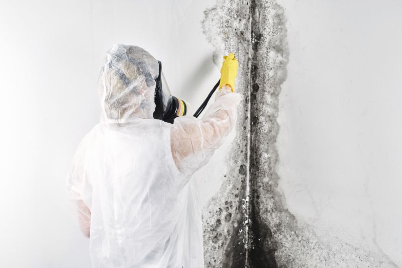 Crawlspace Mold Remediation in Broward County, FL