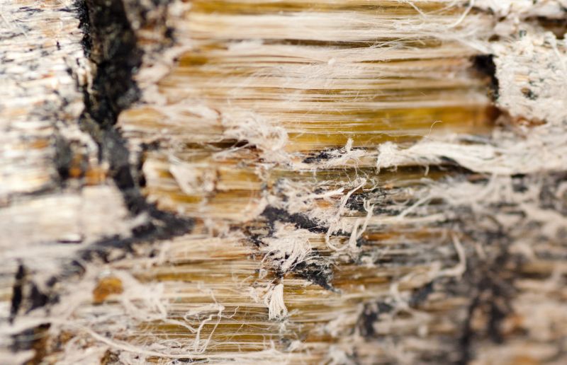 Asbestos Mitigation detail