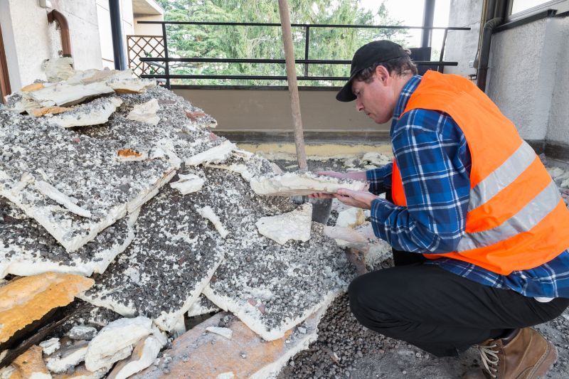 Vermiculite Removal Service detail
