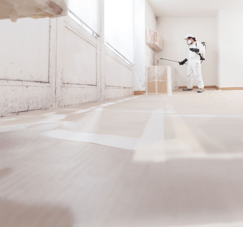 Mold Cleanup Service in Boca Raton, FL