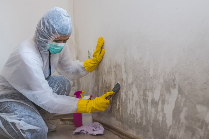 Mold Cleanup Service in Jupiter, FL