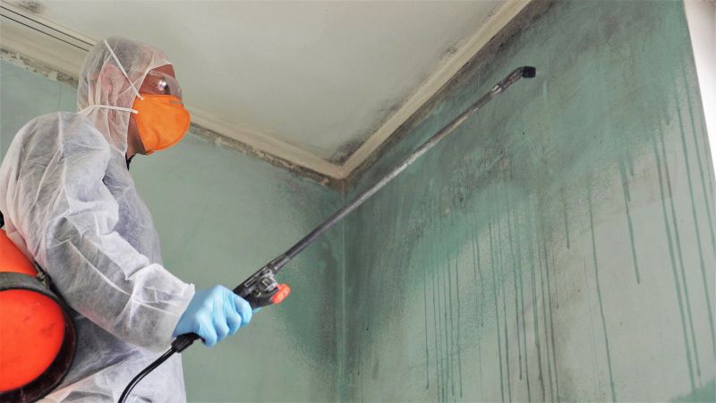 Mold Cleanup Service in Fort Worth, TX