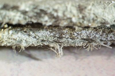 Vermiculite Removal Service in Bergen County, NJ